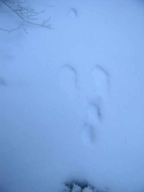 11.27.05 Nesmith Point 113 